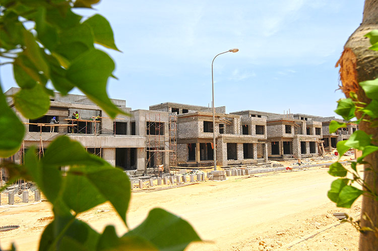 Twin house in Palm valley