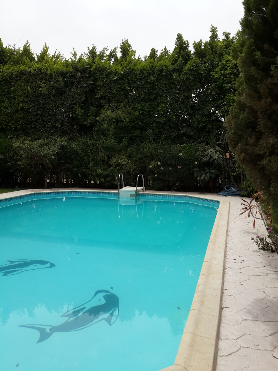 Villa in Arabella