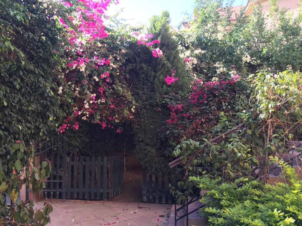 ground floor for rent in kattameya heights compound