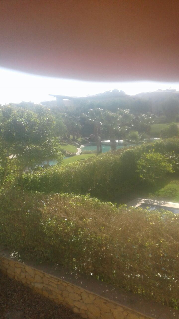 Standalone in lake view