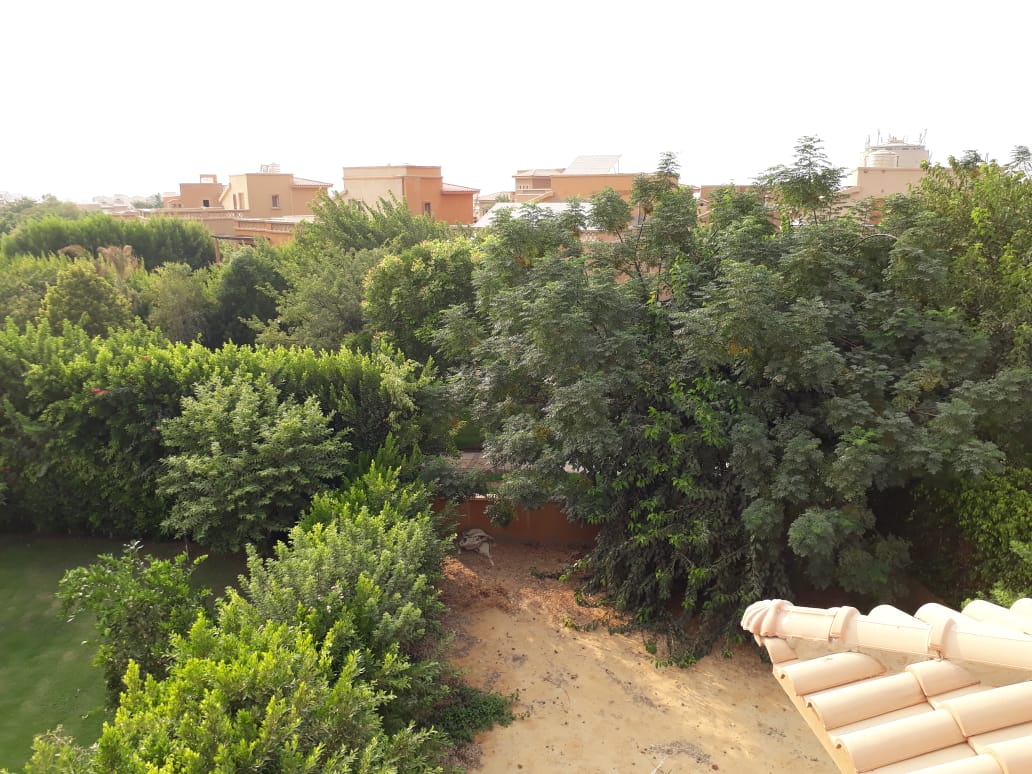 villa for sale at bellajio 