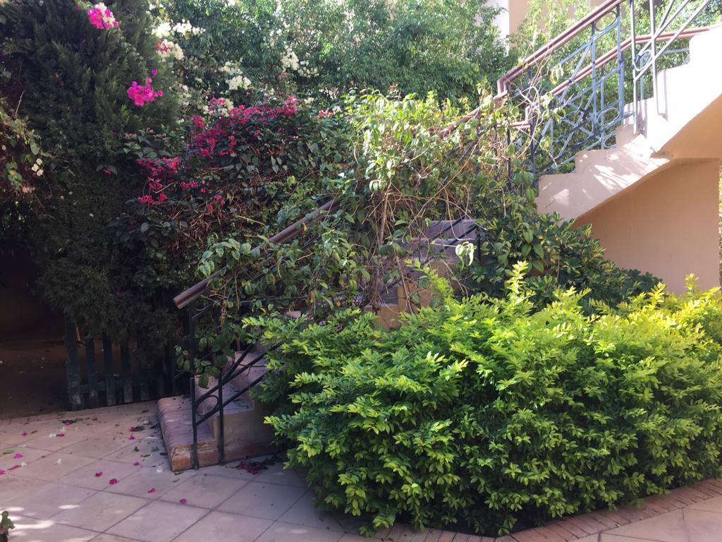 ground floor for rent in kattameya heights compound