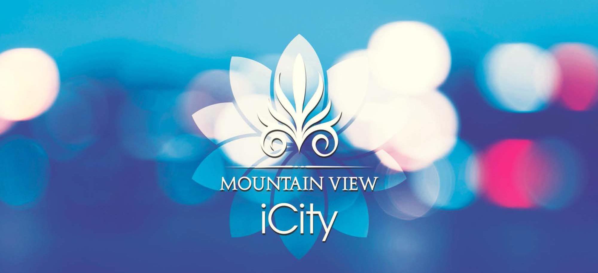 Apartment Mountain view icity 