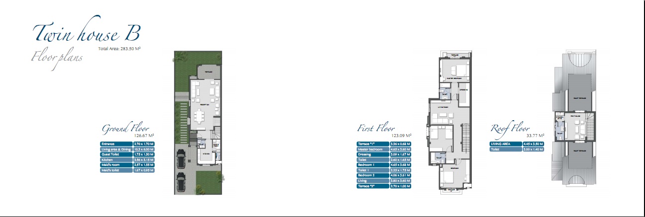 Twin house in Layan 