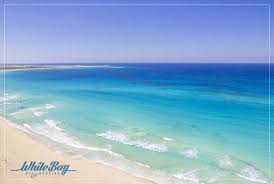 APT white Bay